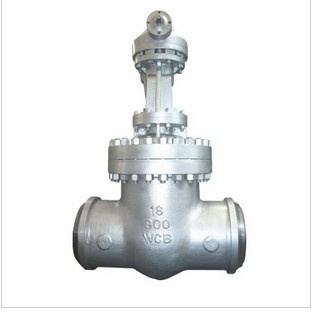 Carbon Steel Class 900 Gate Valve