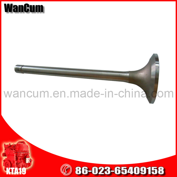 Cummins Marine Engine Parts Cummins Engine Valve 207241