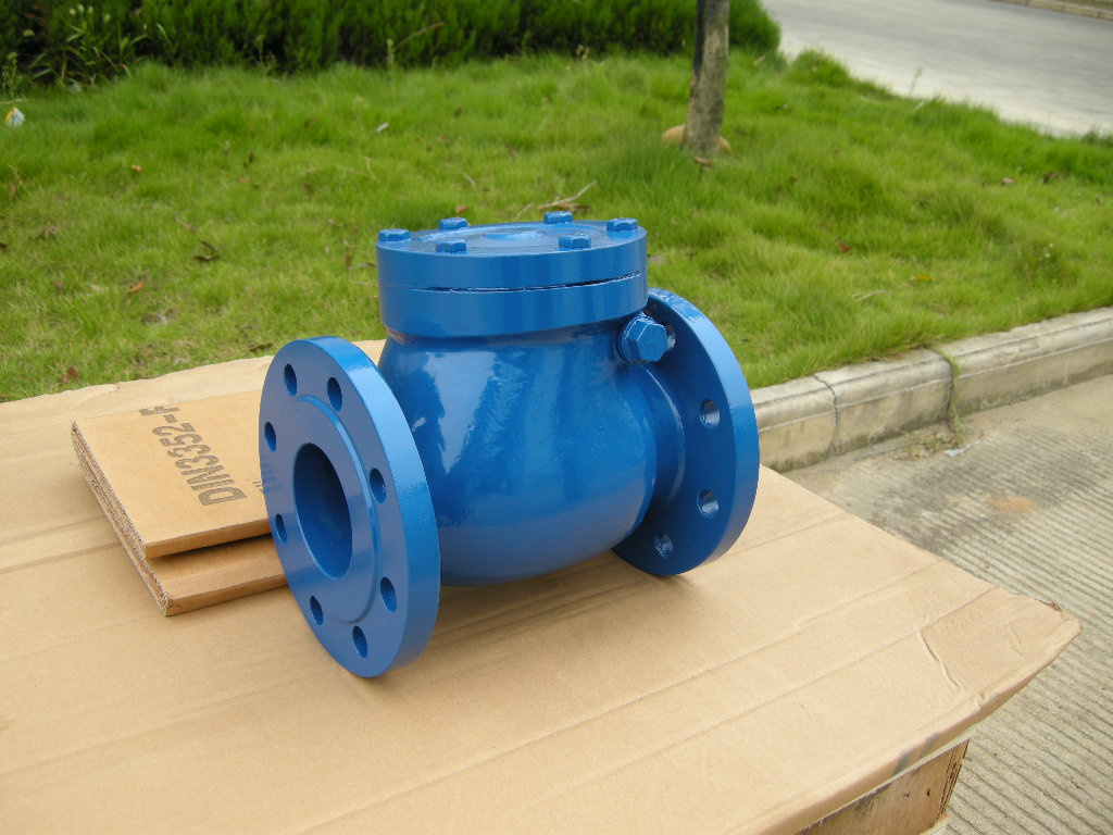 Check Valve