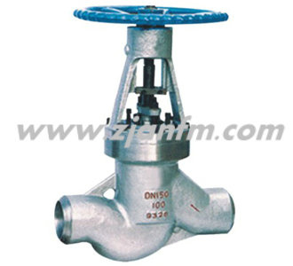 Power Station Globe Valve