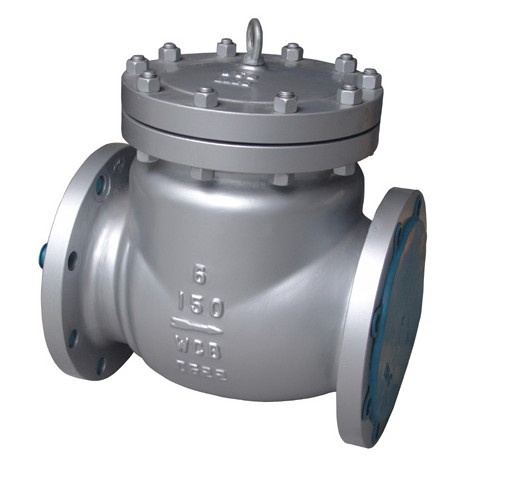 DIN Cast Steel Check Valve