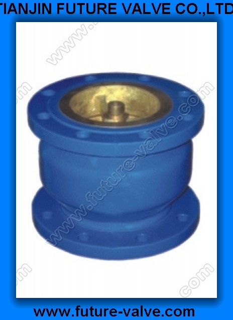Noise Elimination Check Valves (HC41X-16)
