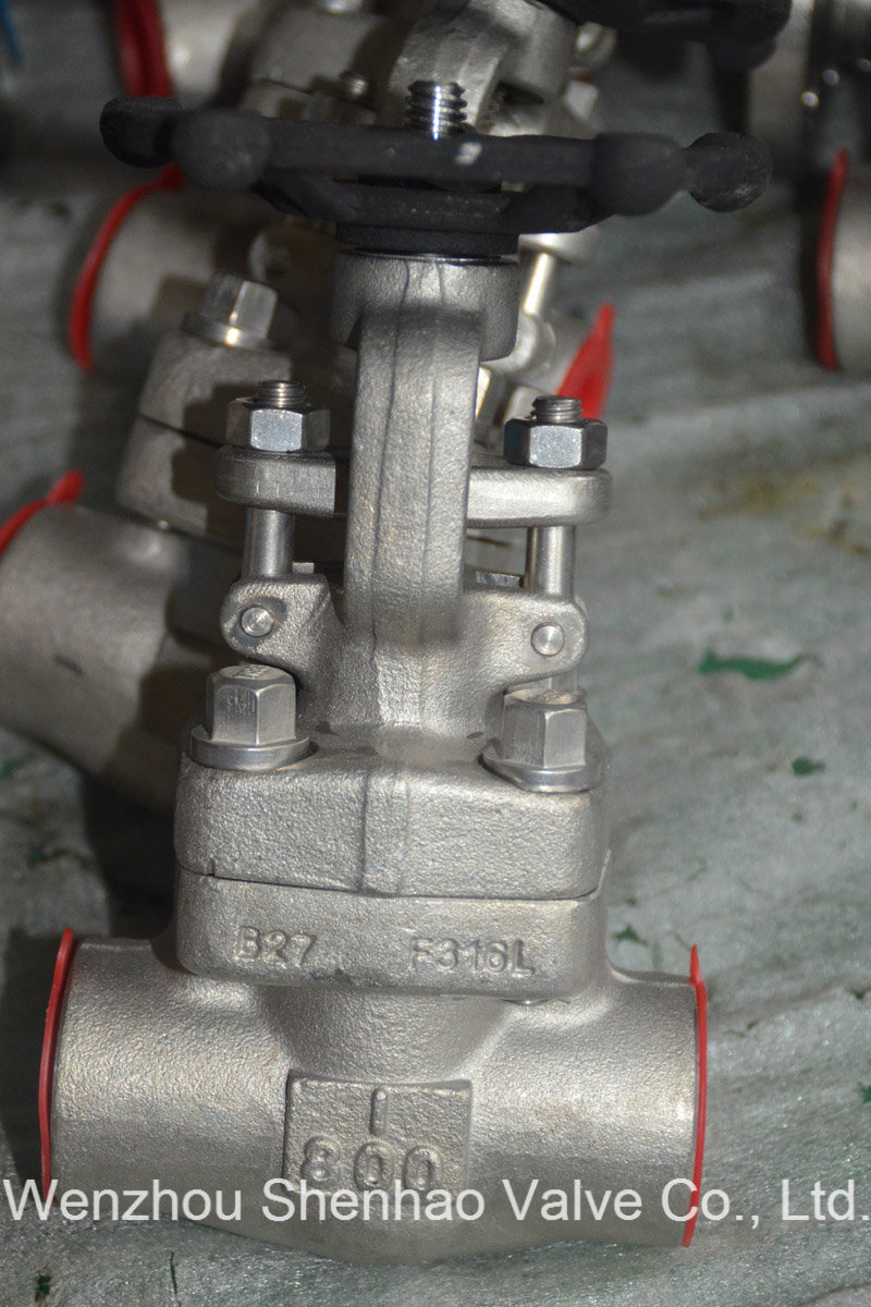 Forged Stainless Steel Gate Valve