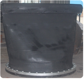 Standing out of The Rubber Valves-Expansion Duckbill Valve (XH41)