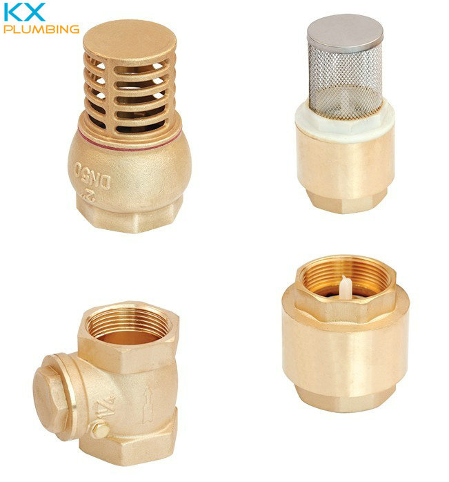 Hoa Sale Brass Check Valve