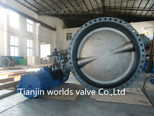 Ductile Iron Double Flanged Butterfly Valve