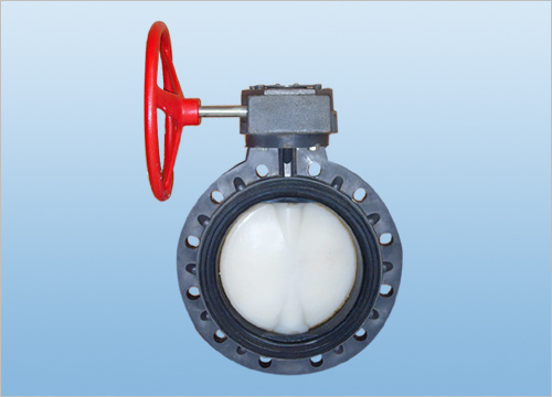 Plastic Worm Gear Butterfly Valve (D371X-6U)