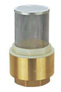 Brass Spring Check Valve with Filter ZD-602