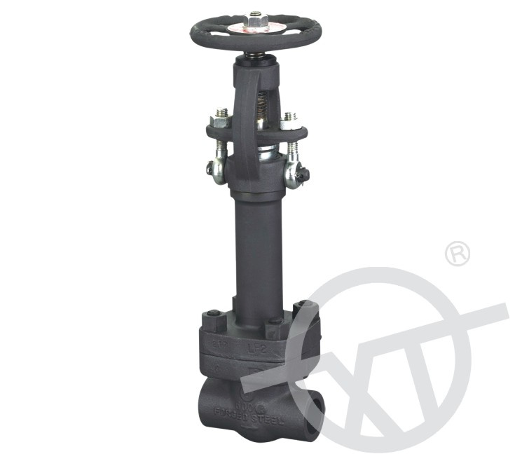 Forged Steel Long Stem Cryogenic Globe Valve (J61)