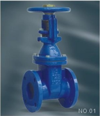 Rising Stem Gate Valve (ANSI)