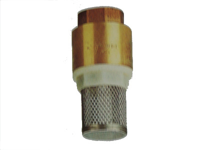 Check Valve (030)