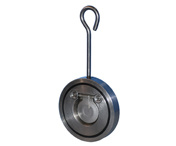Stainless Steel Wafer Swing Check Valve, Pn10-40 (DYTIV-003)
