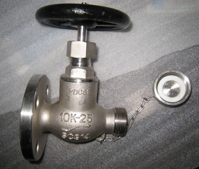 Globe Valve (J41W)