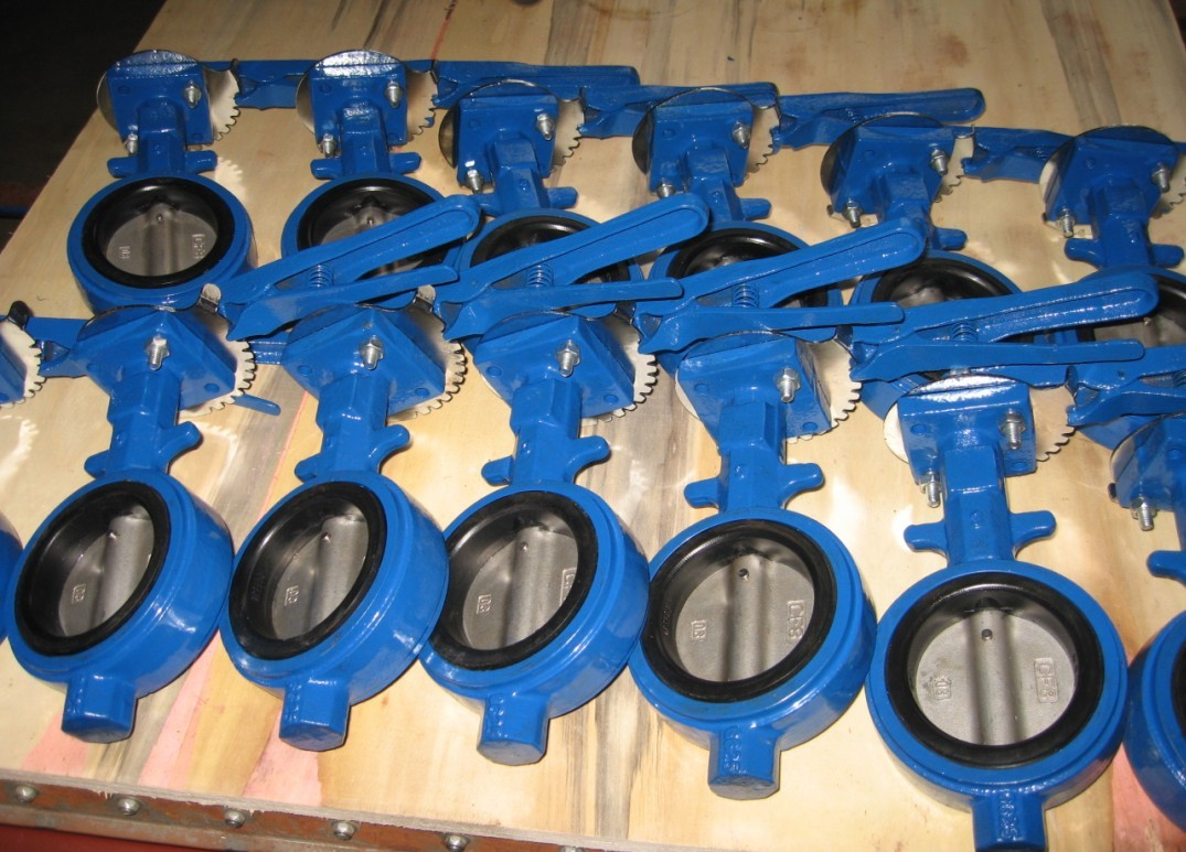 Cast Iron Butterfly Valve