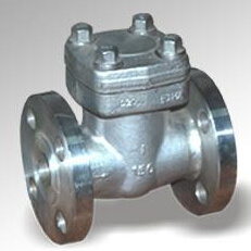 Forged Steel Flange Check Valve (DTV-H003)