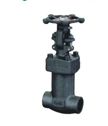 Forged Steel Bellow Seal Gate Valve