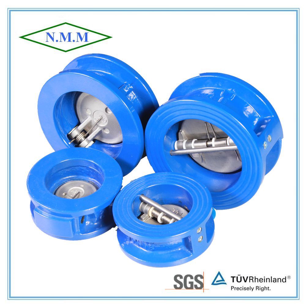 Cast Iron Double Disc Wafer Type Check Valve