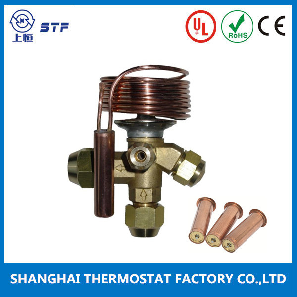 Brass Thermal Expansion Valve