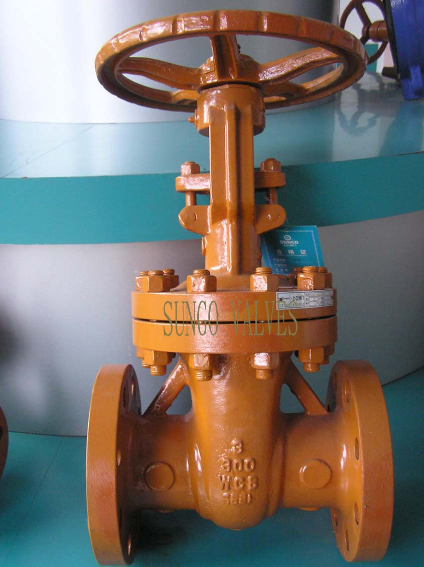 API Valve