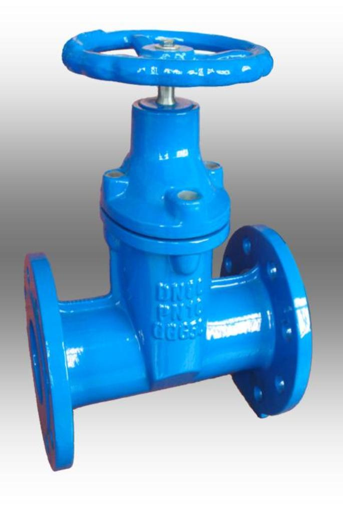 Standard Resilient Seated Gate Valve (DIN F5 )