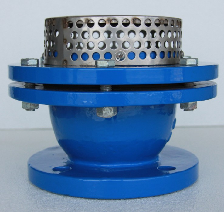 Cast Iron Foot Valve