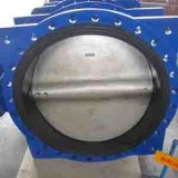 EPDM Sealed Steel Butterfly Valve