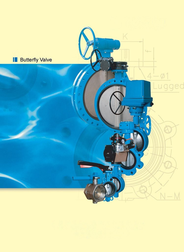 Cast Iron Butterfly Valve