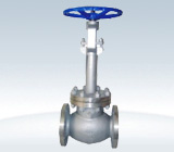 Cyogenic Globe Valve