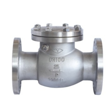 Stainless Steel Swing Check Valve