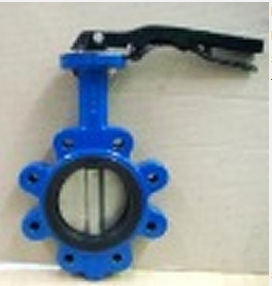 Cast Iron Valve 3