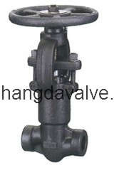 Pressure Sealing Globe Valve