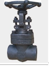 Forged Globe Valve
