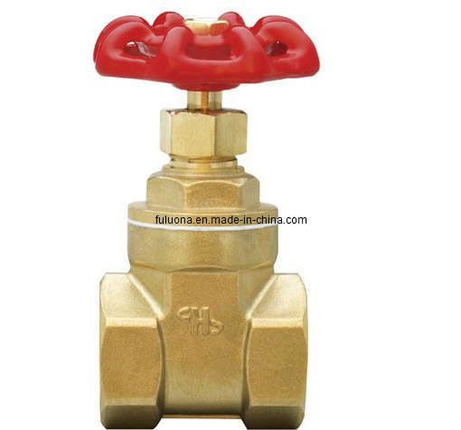 Globe Valve  (FLN-G0017)