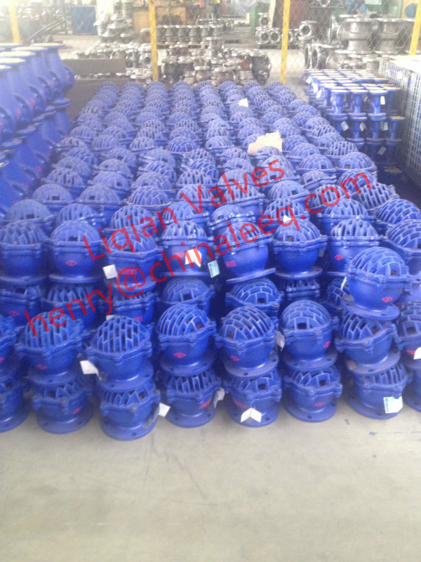 Cast Iron Flanged Foot Valve
