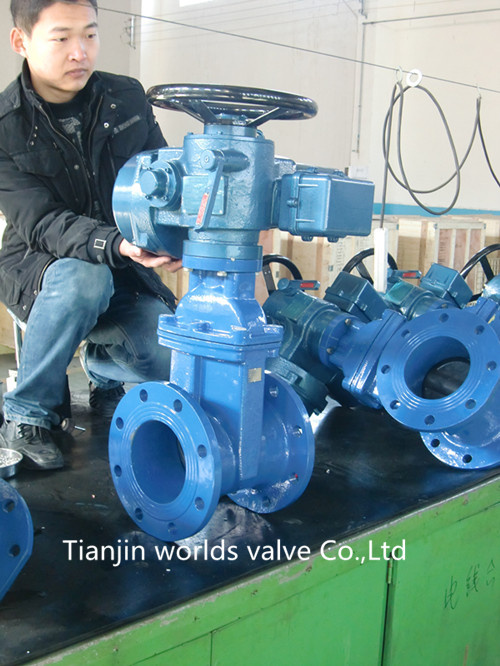 Electrical Gate Valve