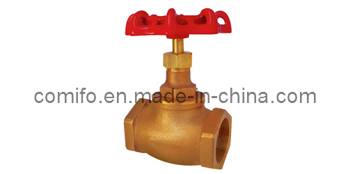 Globe Valve