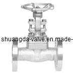 Forged Steel Globe Valve