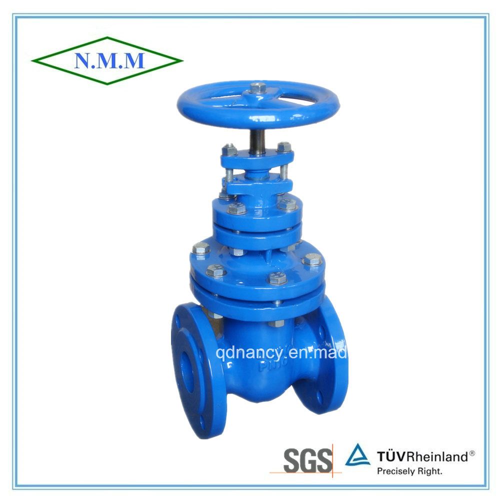 Cast Iron Non-Ringsing Stem Gate Valve