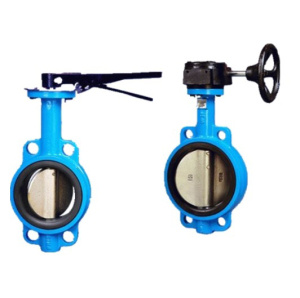 Cast Iron Worm Gear Wafer Butterfly Valve