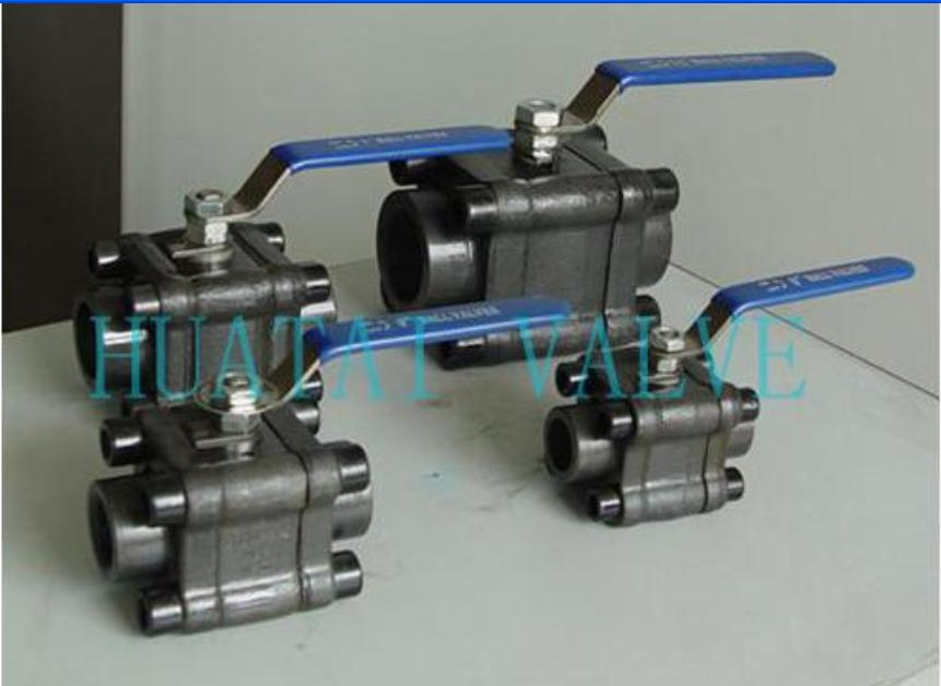 Forged Stainless Steel Ball Valve (F316L 800lb)