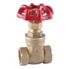 Brass Gate Valve (ITB301)
