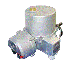 Rotary Electric Actuator