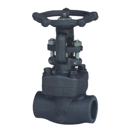 Forged Steel Gate Valve