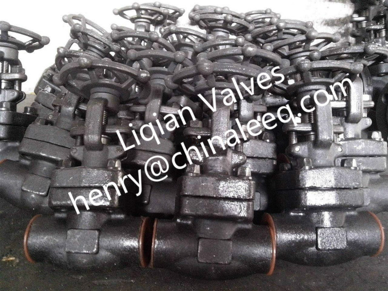 API602 A105 Forged Steel Gate Valve