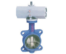 Butterfly Valve