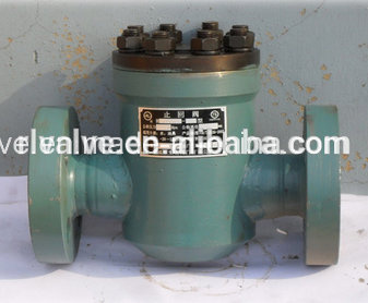 900lb Pressure Seal Check Valve