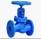 Globe Valve