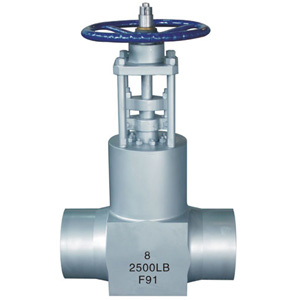 Power Plant Gate Valve