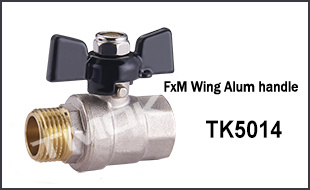 1/2 Inch Brass All Valve with High Pressure