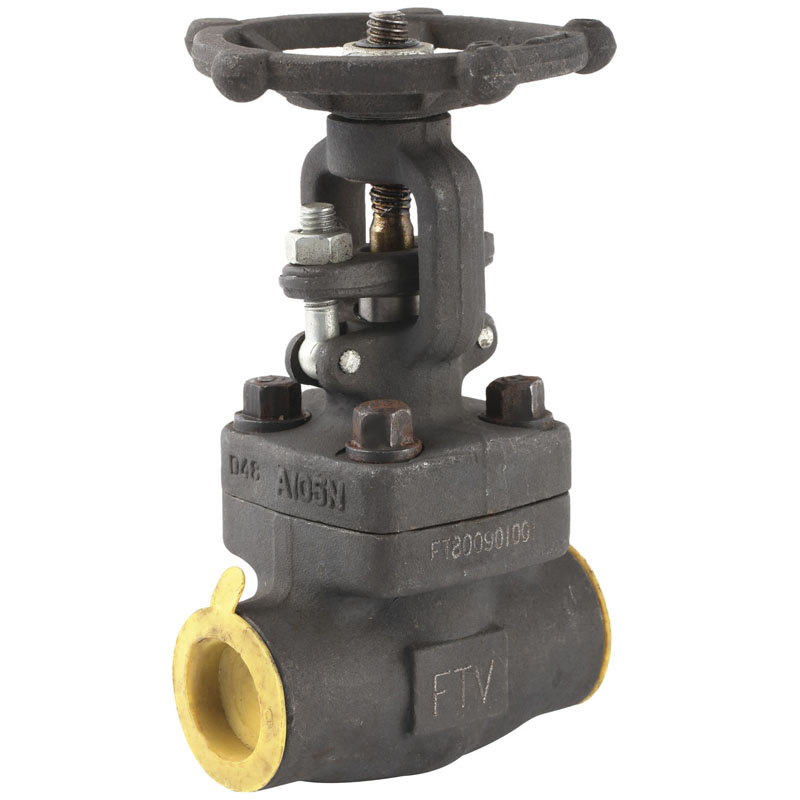 Forged Steel Fnpt or Sw Gate Valves